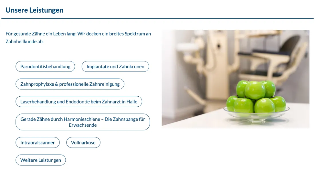 Ausschnitt der Website von Zahnarztpraxis Koehler & Kollegen, Halle (Saale): Acht klar benannte Leistungs-Buttons strukturieren das Angebot — wer sucht, erkennt sofort die passende Behandlung ohne Scrollen.
